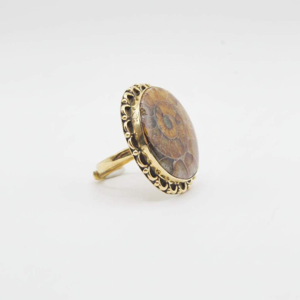 Anillo de Latón - Fósil Amonite