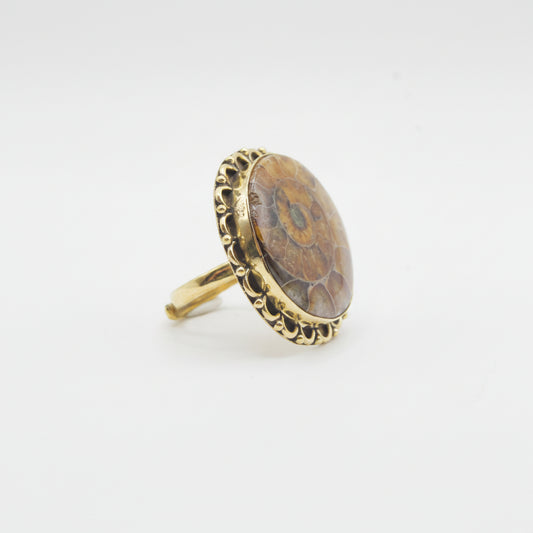 Anillo de Latón - Fósil Amonite