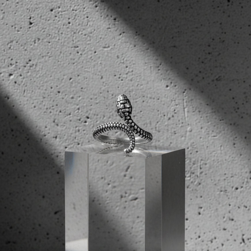 Anillo Serpiente de Latón Plateado — Talla Ajustable