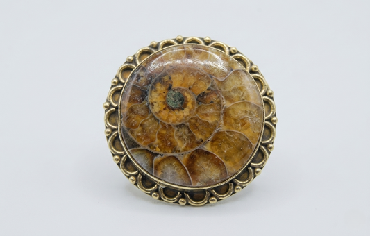Anillo de Latón - Fósil Amonite